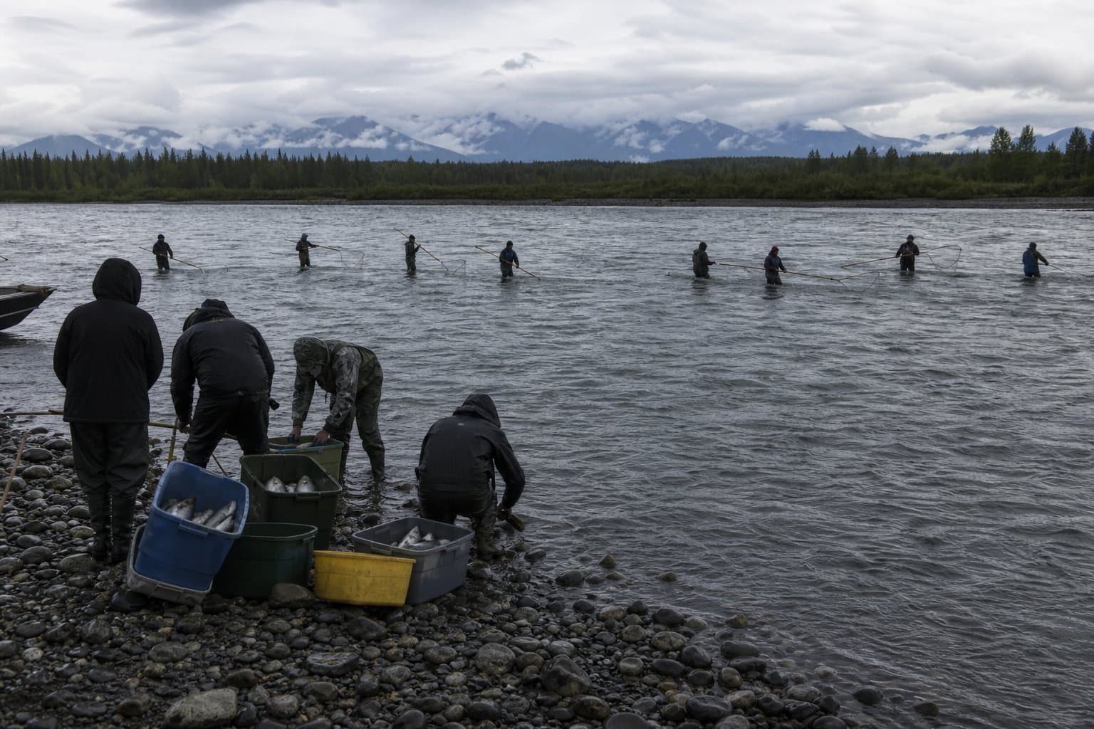 Cover image for article: Chitina's dipnet window shrinks to 48 hours as sockeye falter