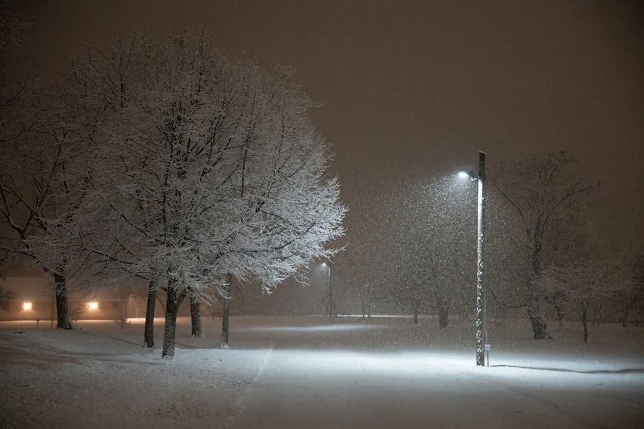 Cover image for article: Kenai completes streetlight assessment, eyes $1.9M federal grant