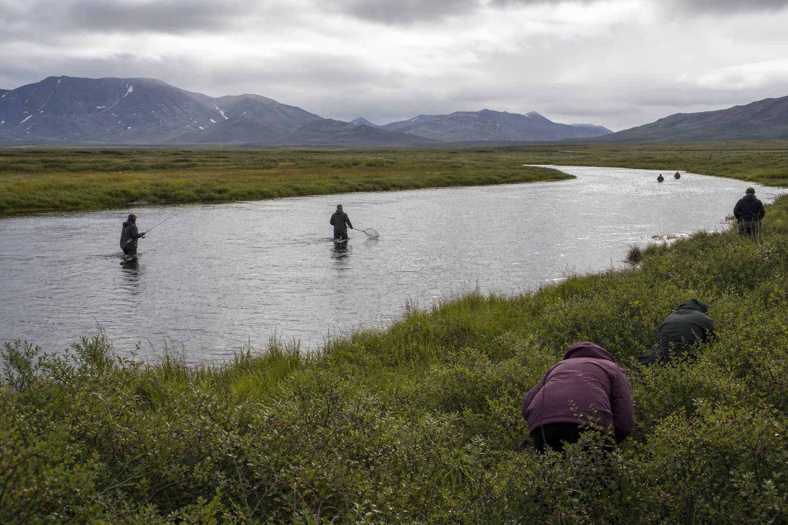 Cover image for article: NWS warns Bristol Bay heat this week could disrupt berry picking and fishing