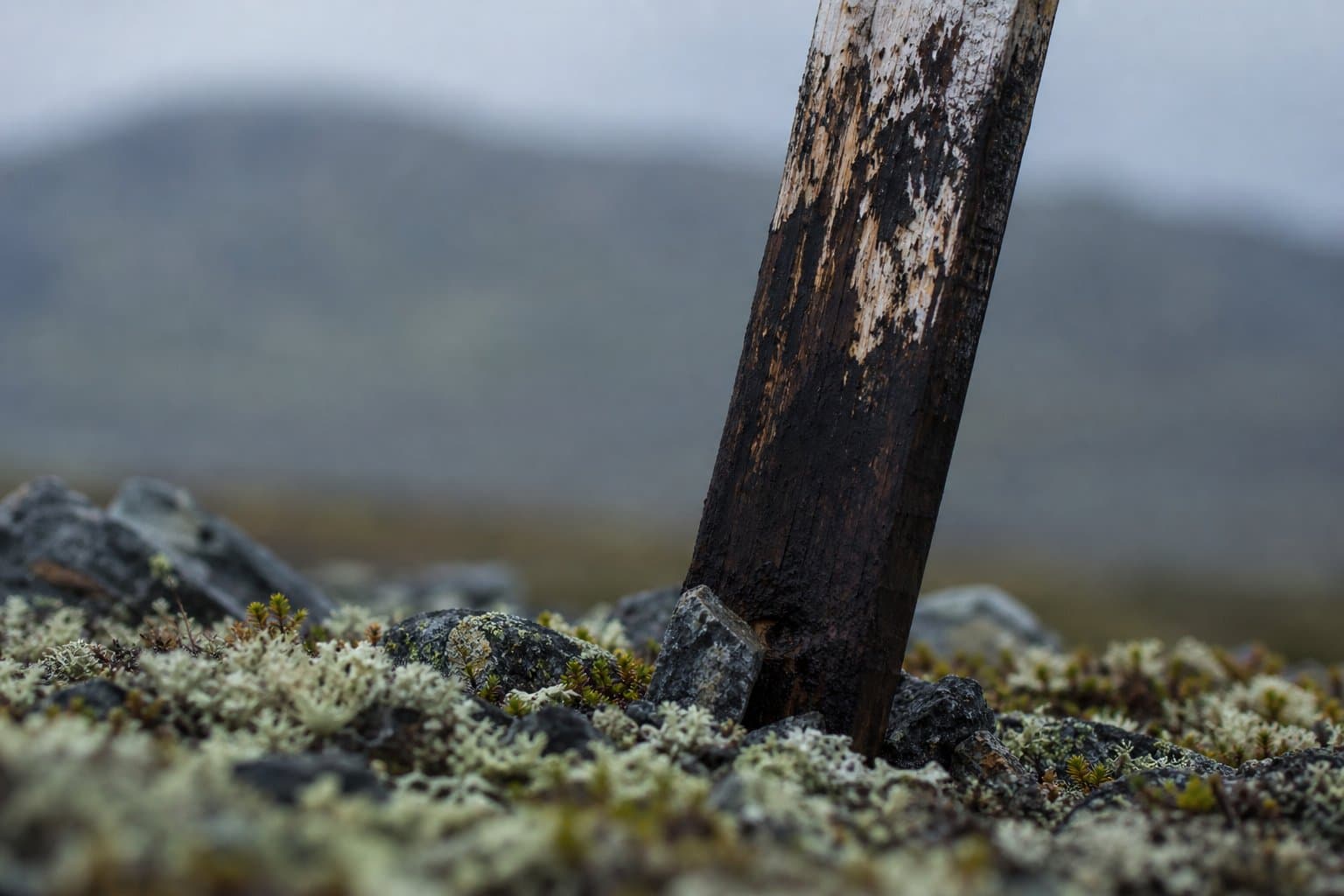 Cover image for article: Teller pressed Graphite One on subsistence risks at the Graphite Creek mine