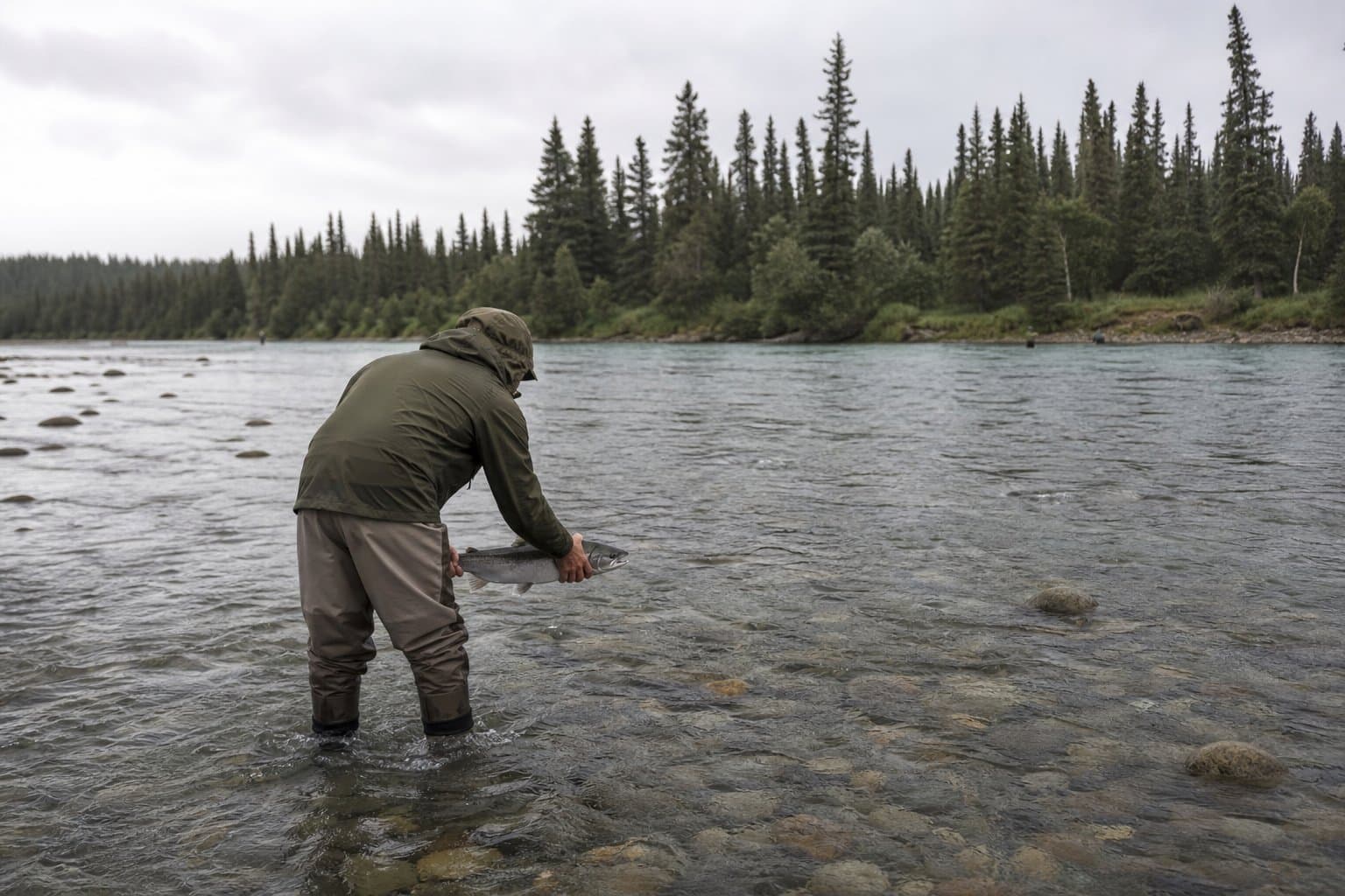 Cover image for article: Wisconsin man cited for lifting king salmon on Anchor River