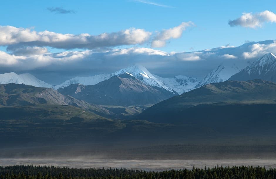 Cover image for article: Tanana Chiefs Conference sets June family events in Fairbanks
