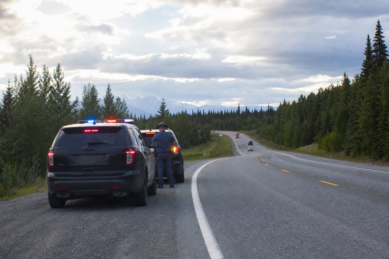 Cover image for article: Passenger injures Trooper during Cooper Landing traffic stop