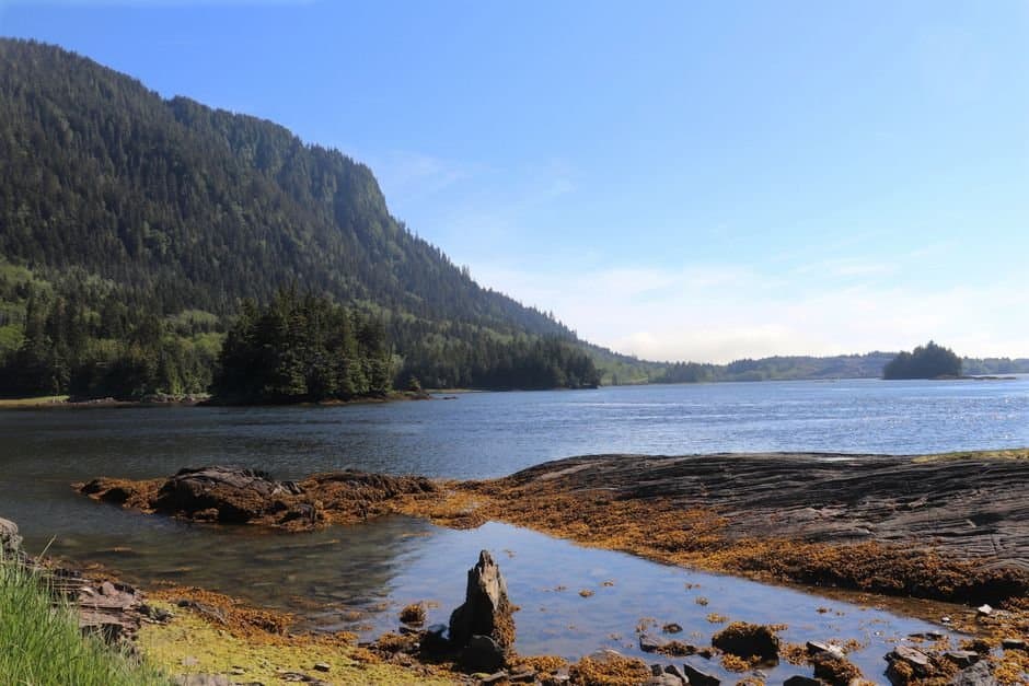 Cover image for article: Homer Electric wins state OK for undersea fiber across Kachemak Bay