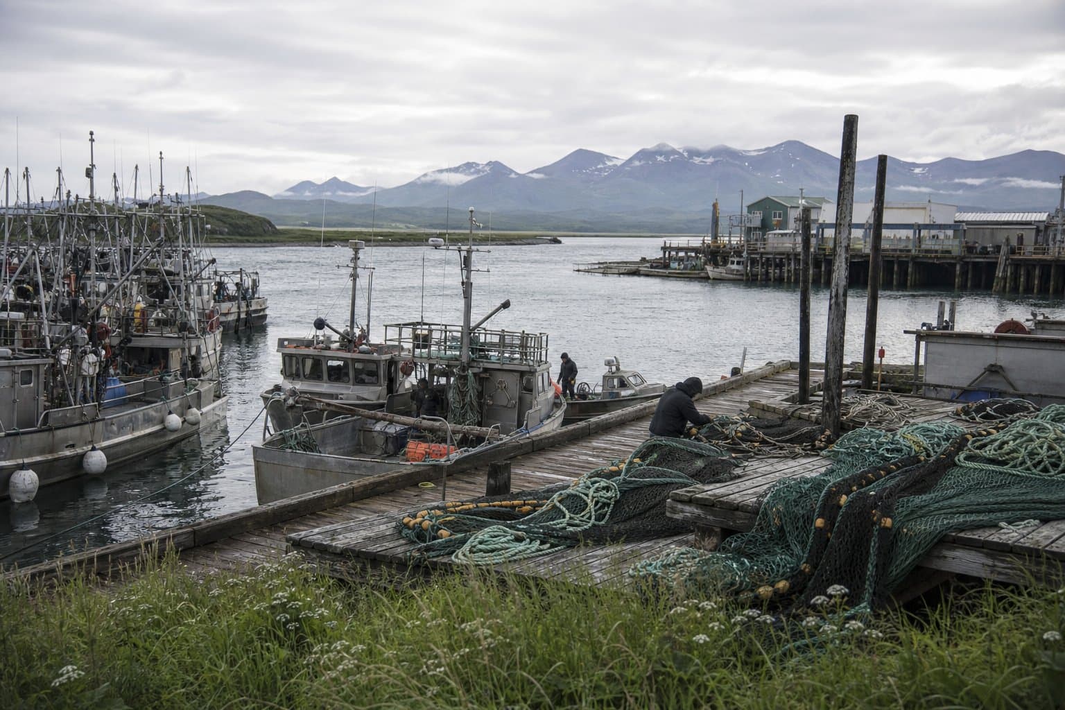 Cover image for article: Alaska opens all of Togiak to fishing with the sockeye count far below goal