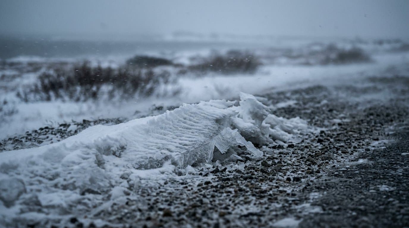Cover image for article: North Slope Borough closes offices in Atqasuk, Utqiaġvik and Wainwright for weather
