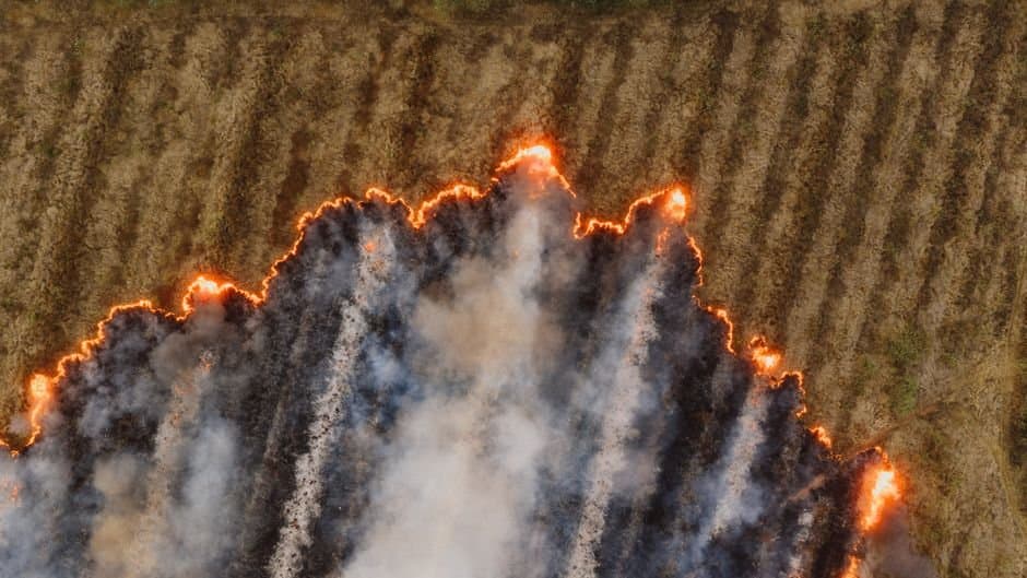 Cover image for article: Mat-Su, Kenai burn permits suspended as fire activity surges