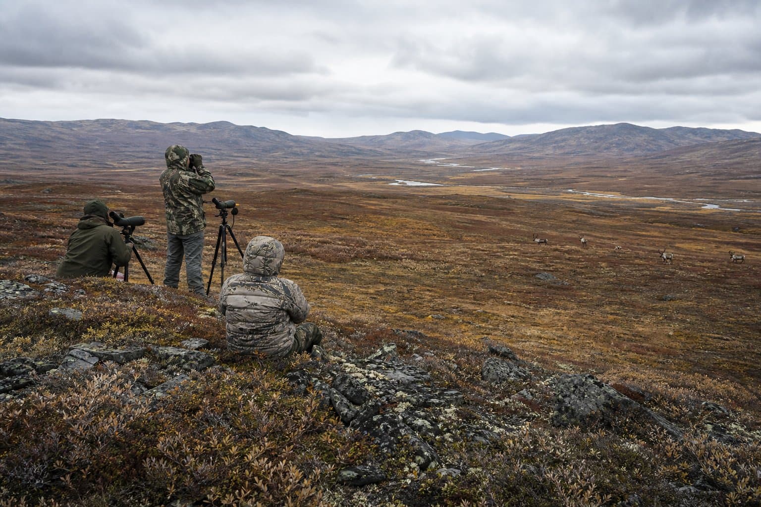 Cover image for article: ADF&G proposes 150-bull Tier II Nelchina caribou hunt for 2027