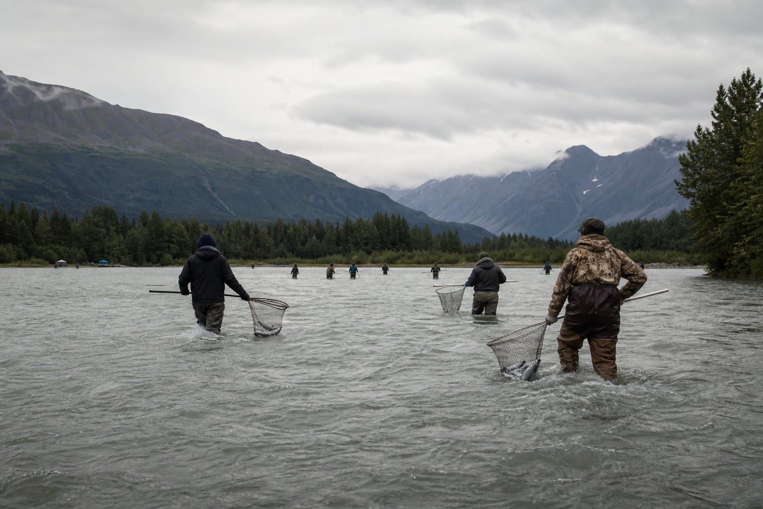 Cover image for article: Chitina dipnetters can keep sockeye but must release every king
