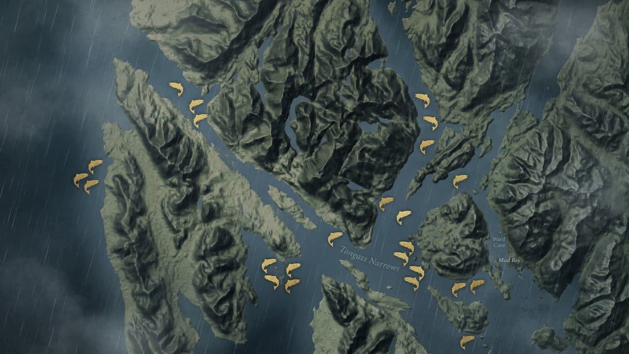 Cover image for article: Ketchikan anglers can keep more kings this month, even with a slow run