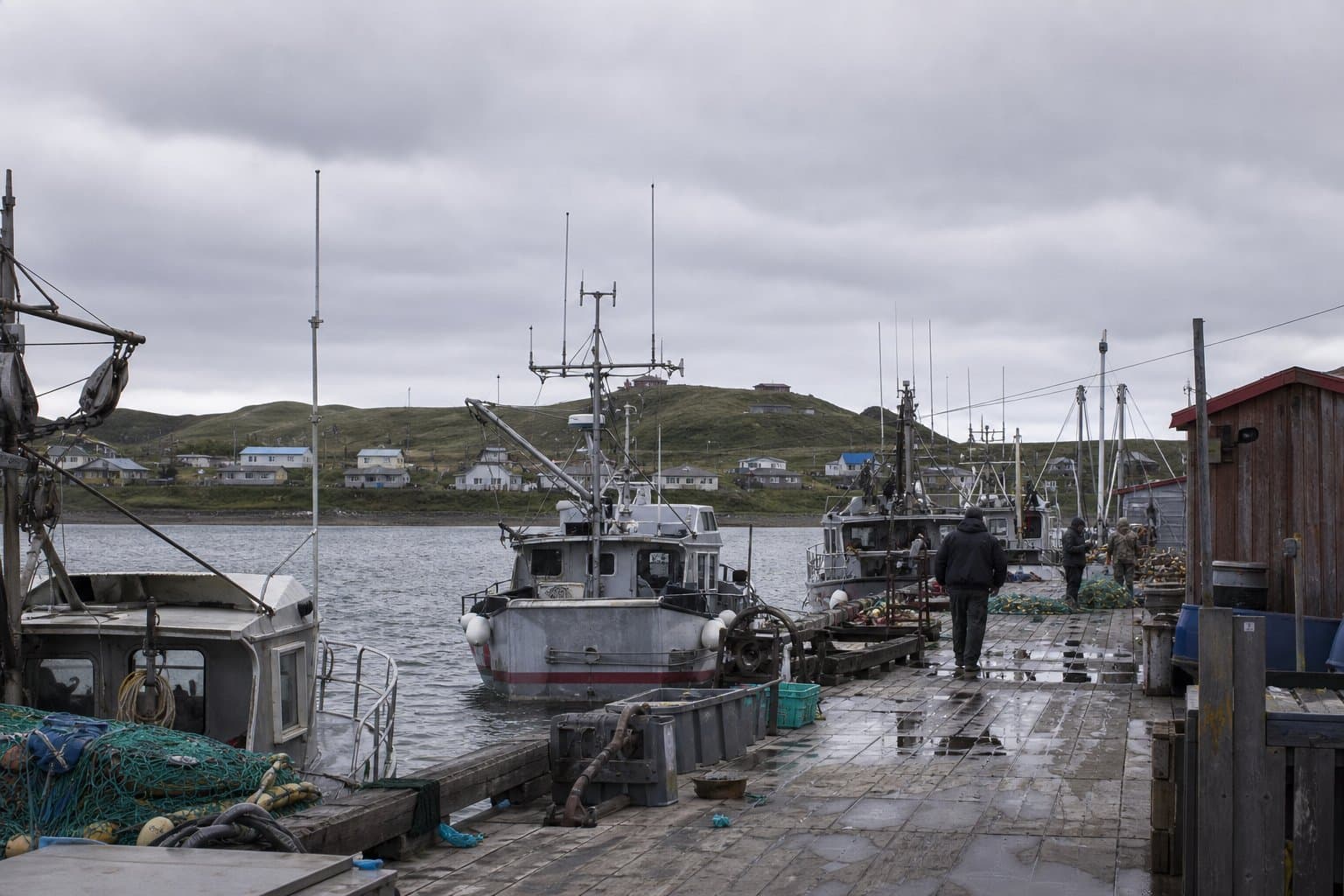 Cover image for article: Kotzebue chum fishery opened Sunday, but only one buyer is registered to purchase fish