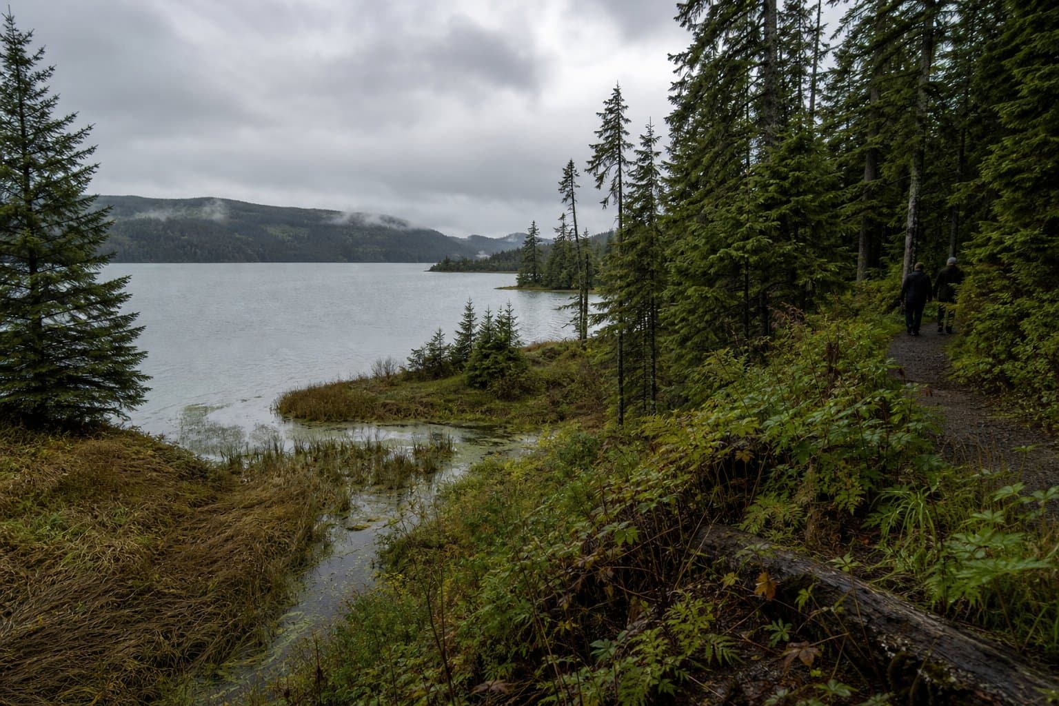 Cover image for article: Kodiak staff urge keeping Beaver Lake land as the borough hunts for housing sites