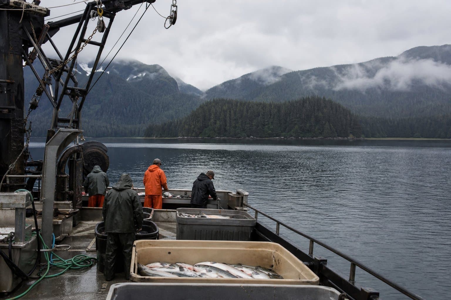 Cover image for article: Prince William Sound's seine fishery stays closed, its next opening tied to hatchery returns