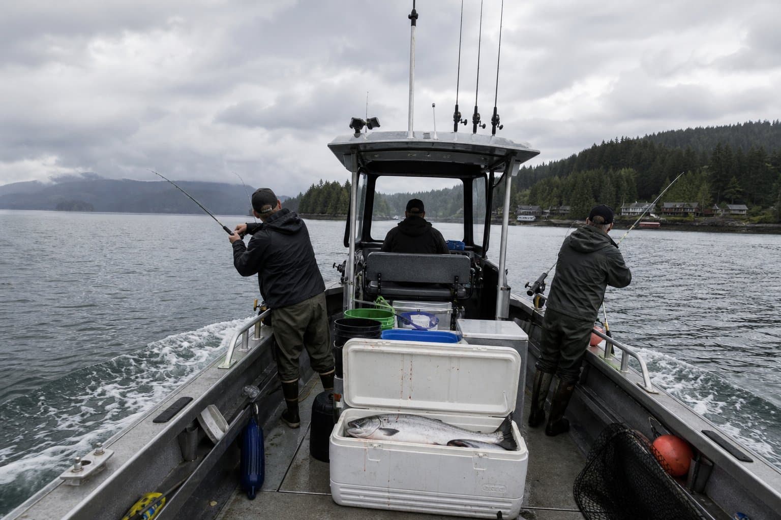 Cover image for article: Fishing Prince of Wales for kings? The nonresident limit just dropped.