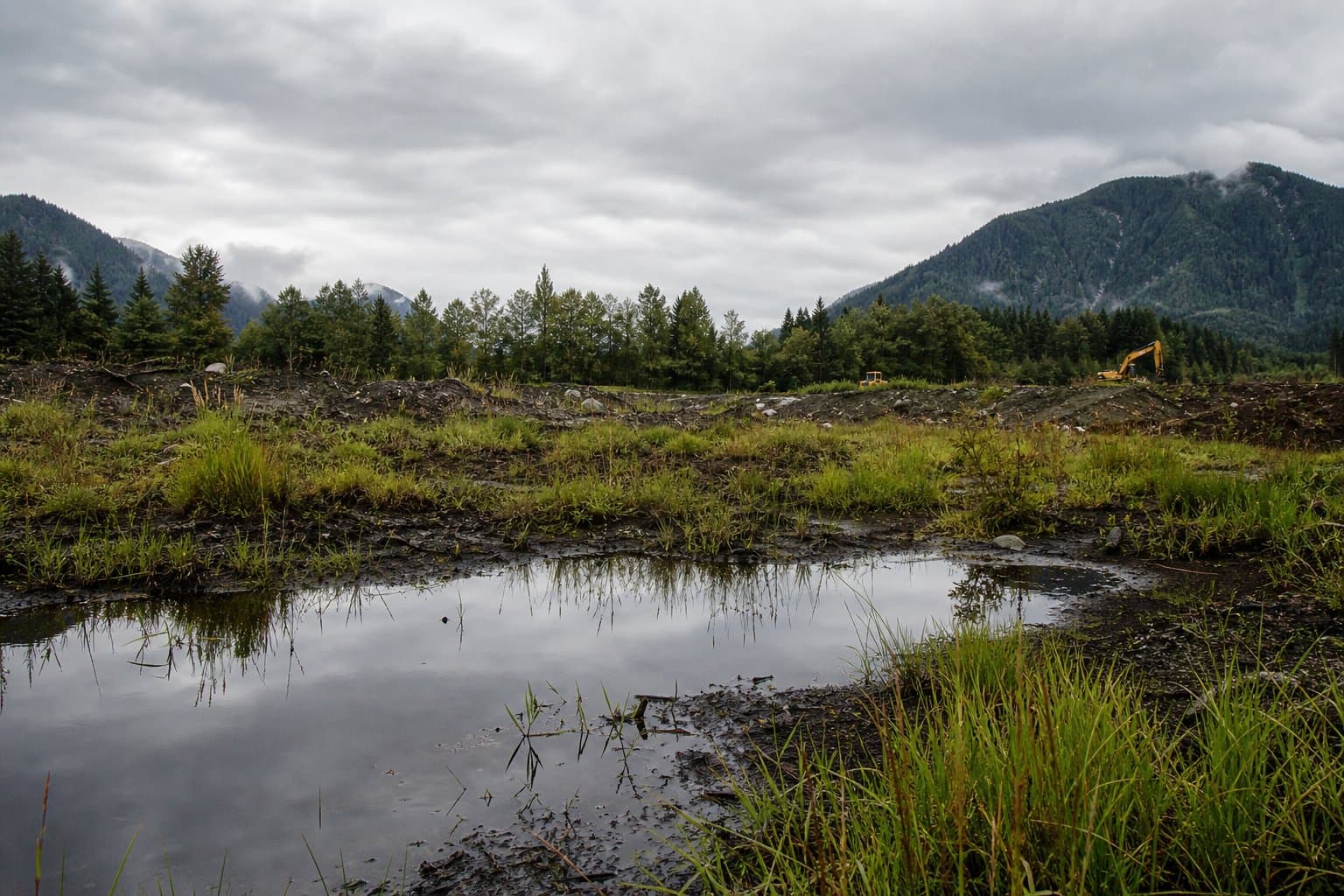 Cover image for article: Duran Construction wetlands settlement lodged, comment period not set