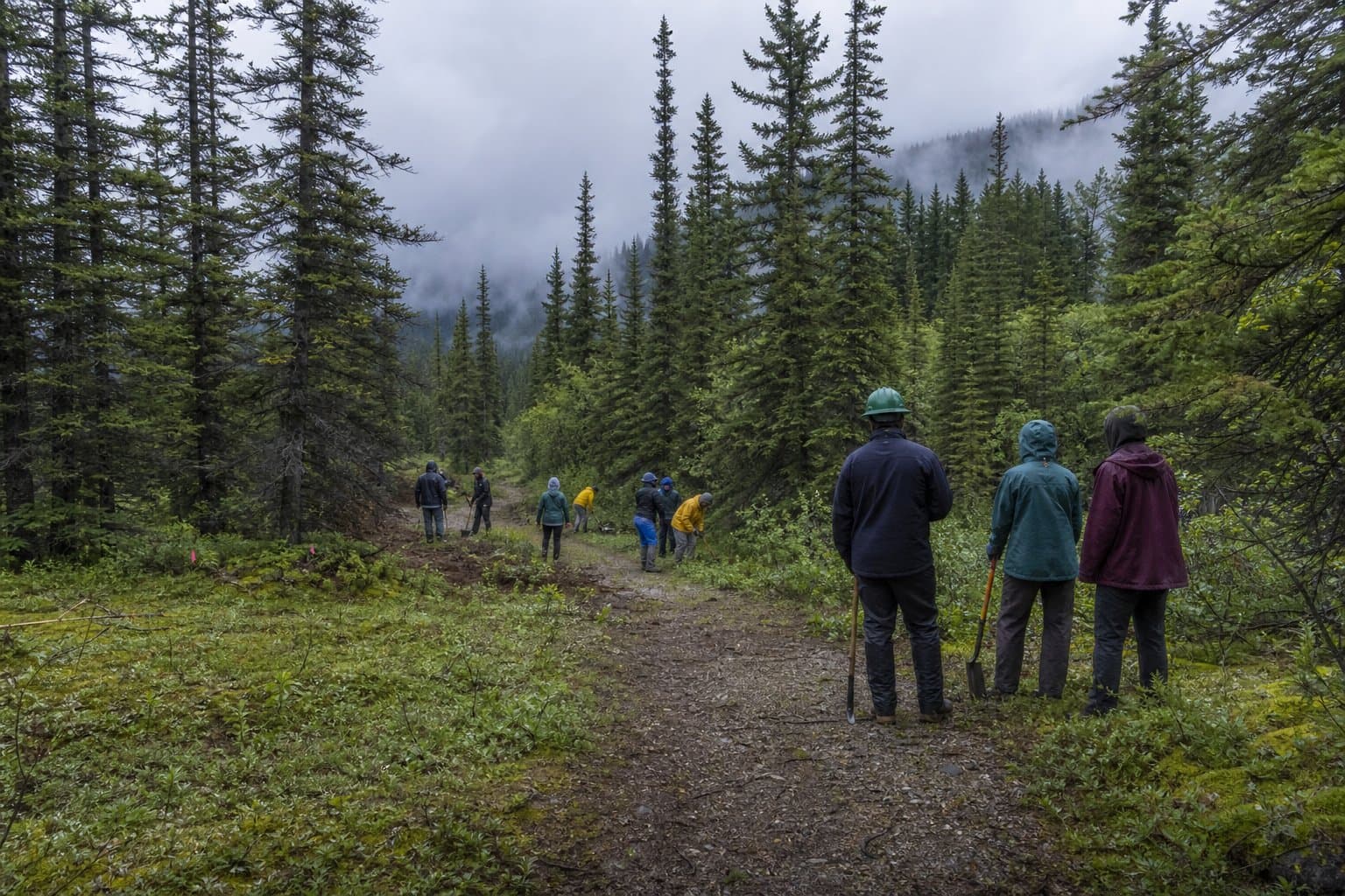 Cover image for article: Alaska's trail grants reopen, with up to $100,000 on the table