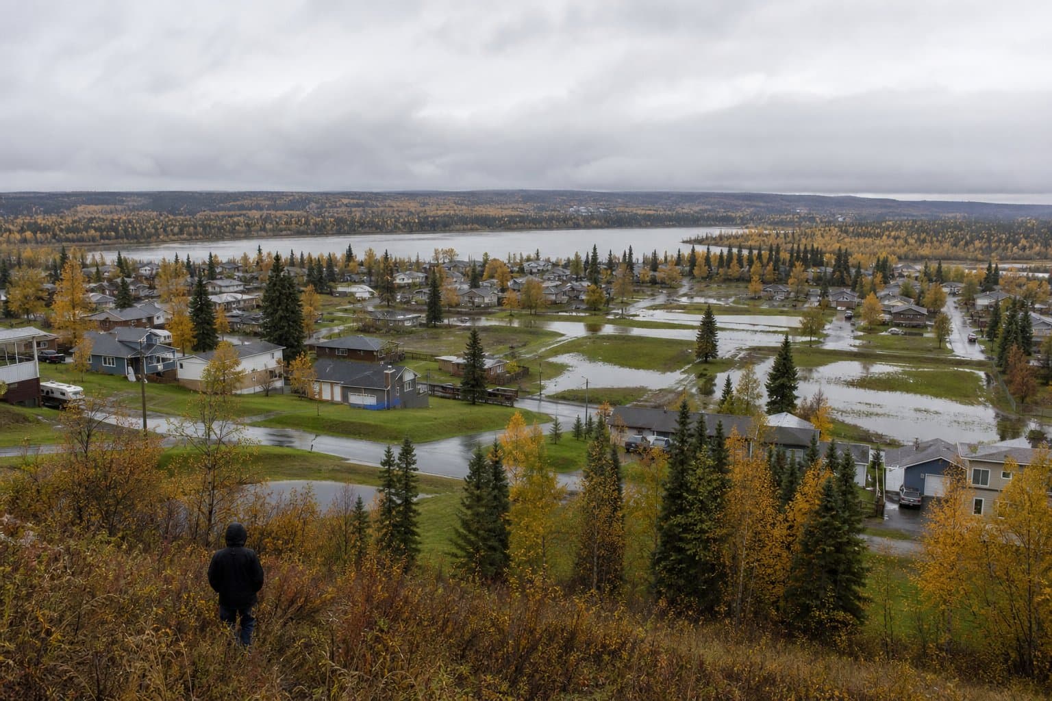 Cover image for article: Flood watch warns Chena and Little Chena could top minor flood stage Wednesday