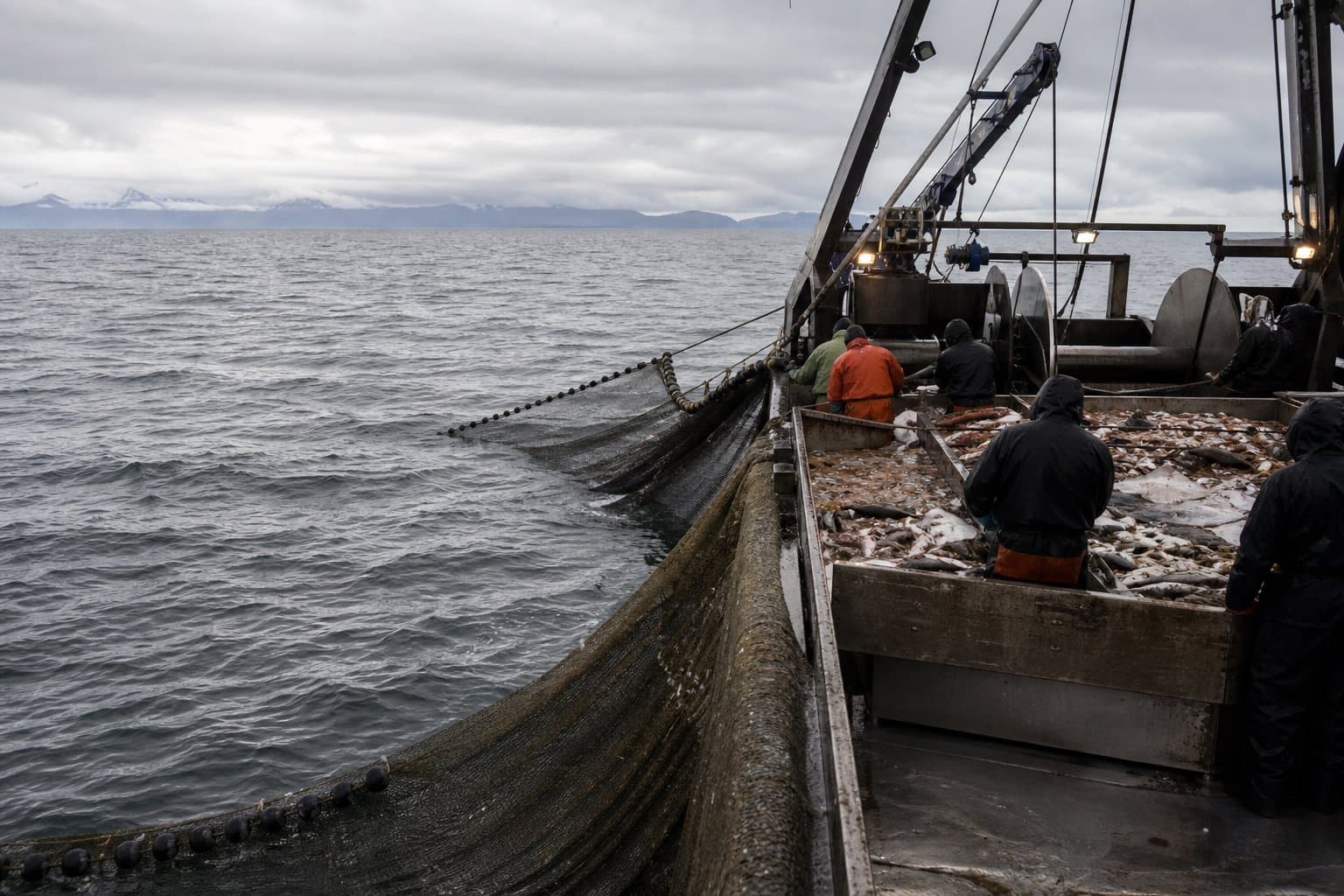 Cover image for article: Sen. Sullivan's Bycatch Reduction Act targets Alaska trawl fleets alongside new Begich bill