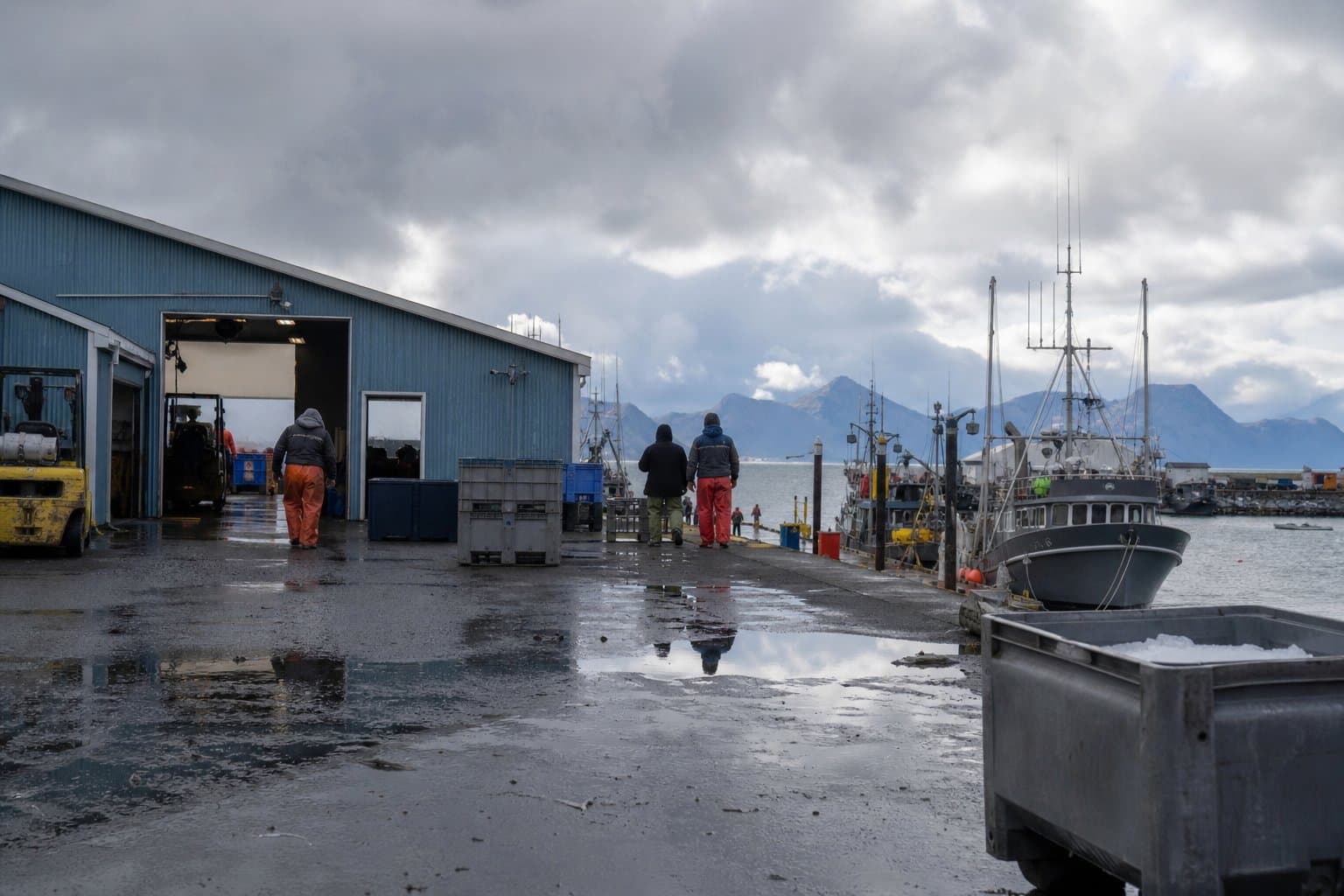 Cover image for article: Homer transfers its ice house lease to Silver Bay Seafoods