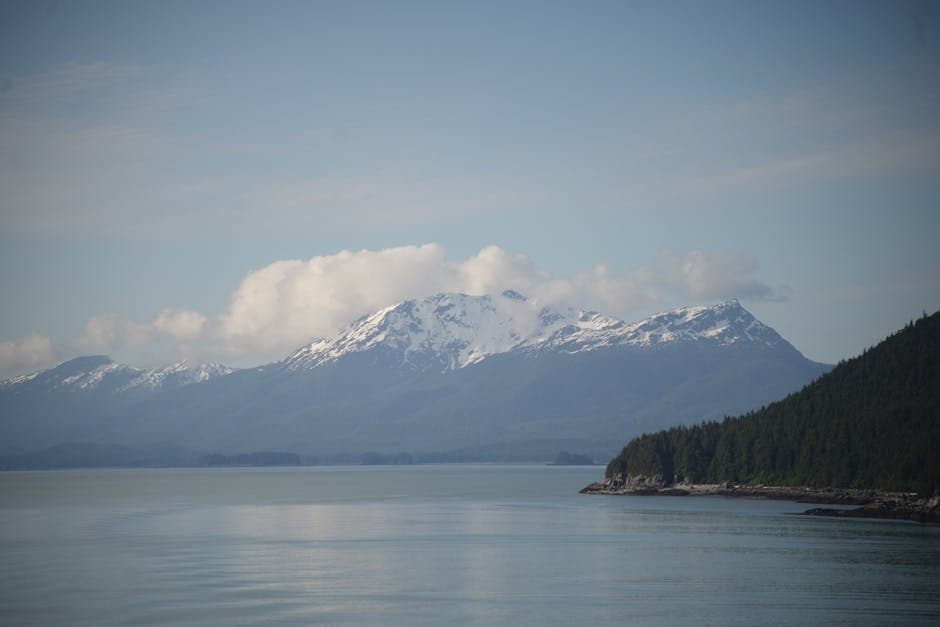 Cover image for article: ADF&G opens six Kodiak sections to commercial fishing, bans large Chinook retention
