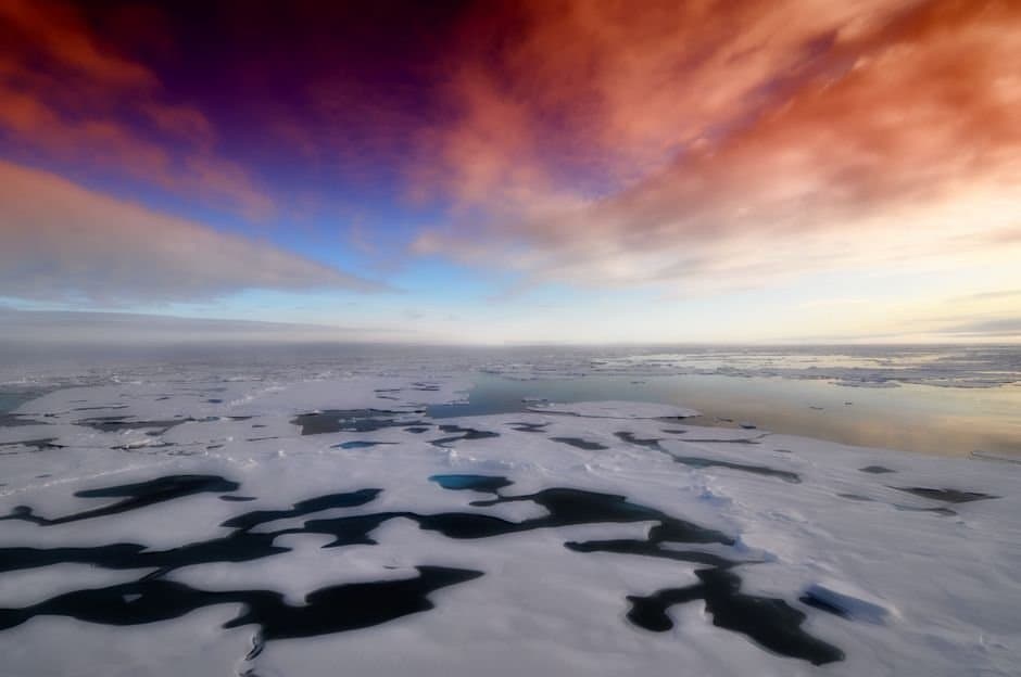 Cover image for article: Monthly Arctic sea ice analysis returns after a year without funding