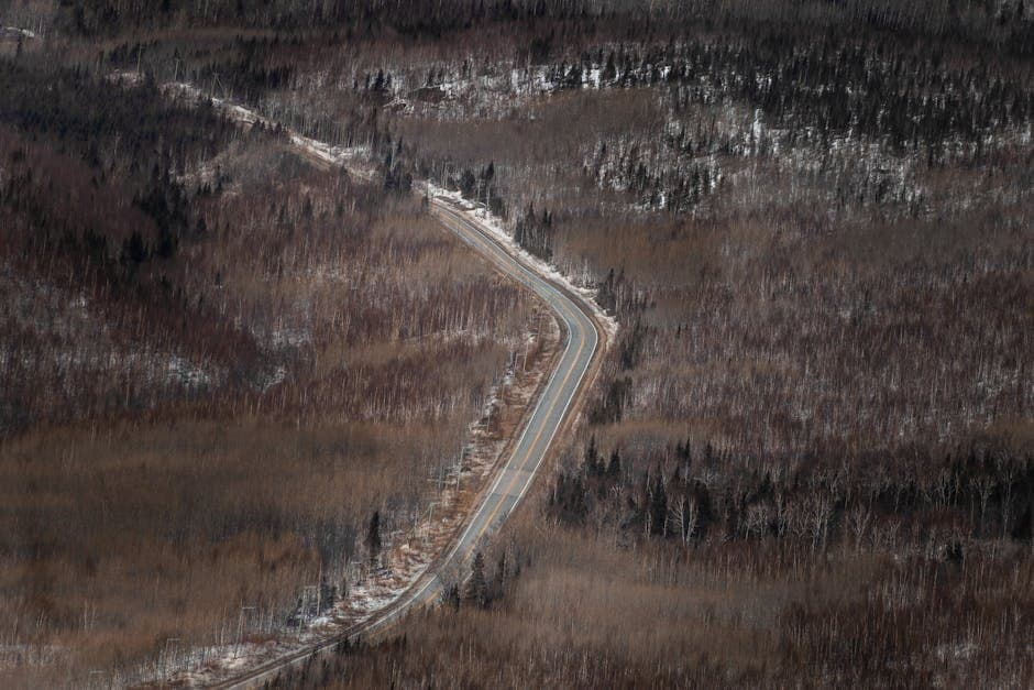 Cover image for article: Tanana Chiefs warns Dalton corridor transfer threatens subsistence lands