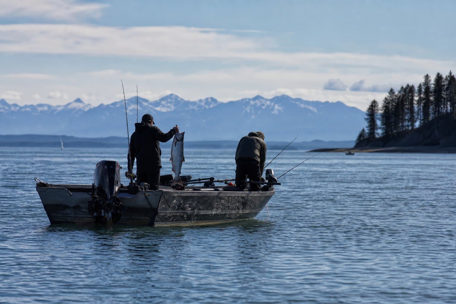 Cover image for article: King salmon limit returns to one fish north of Bluff Point on Aug. 16