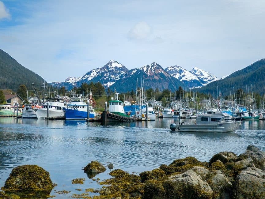 Cover image for article: Sealaska endorses Peltola for U.S. Senate