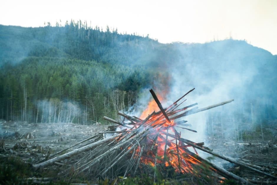 Cover image for article: Alaska suspends burn permits in Mat-Su, Kenai, Tok, Delta
