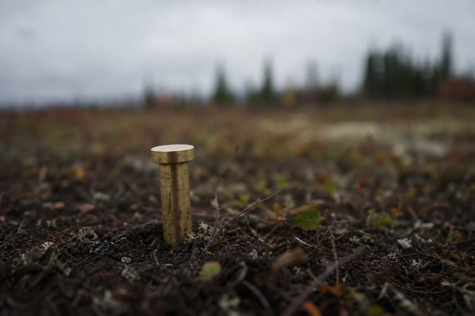 Cover image for article: Anchorage Assembly to vote on free land for natural burial cemetery