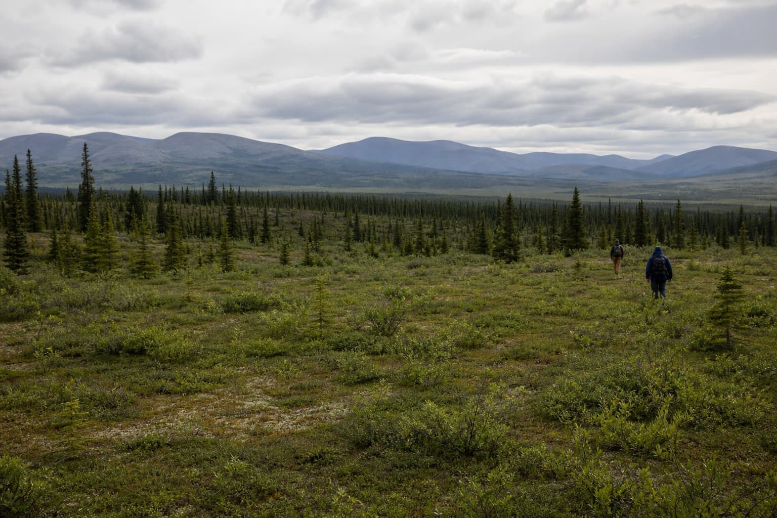 Cover image for article: Alaska DNR moves to fix erroneous land conveyance near Tok; comment deadline August 18
