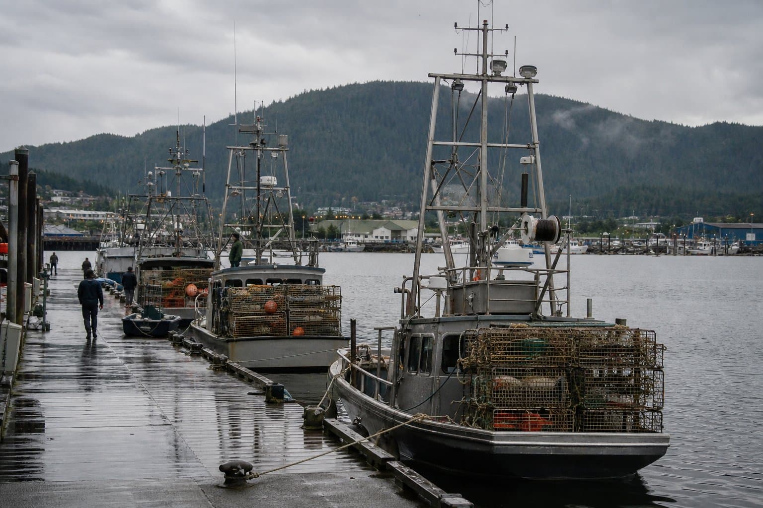 Cover image for article: Four Southeast shrimp areas open Oct. 1, including one the department had ruled out