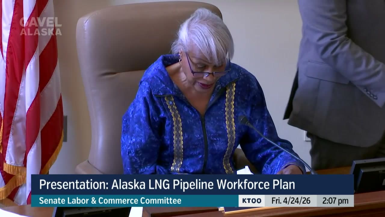 Cover image for article: Senate panel hears workforce plan for Alaska LNG pipeline
