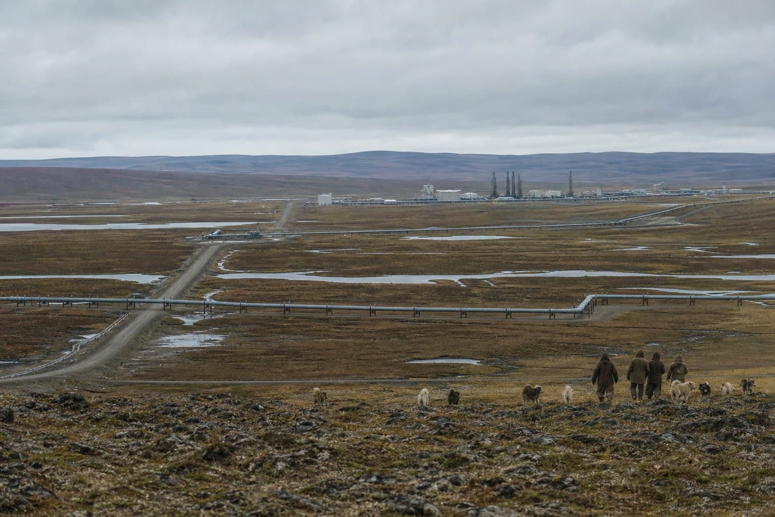 Cover image for article: A proposed rule would cut years of NPR-A oil review down to 60 days