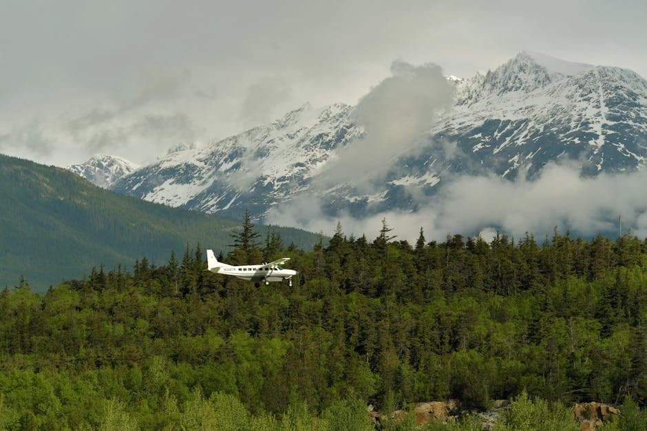 Cover image for article: Aniak River closed to all king salmon fishing, including catch-and-release