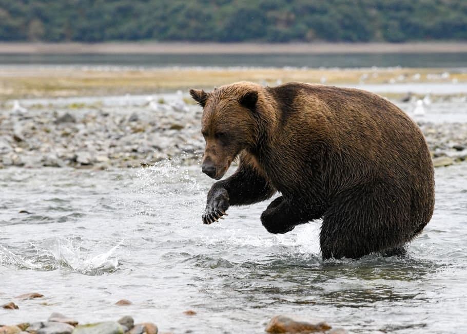 Cover image for article: Discover Kodiak opens its 2027 Visitor Guide photo contest, with entries due Oct. 1