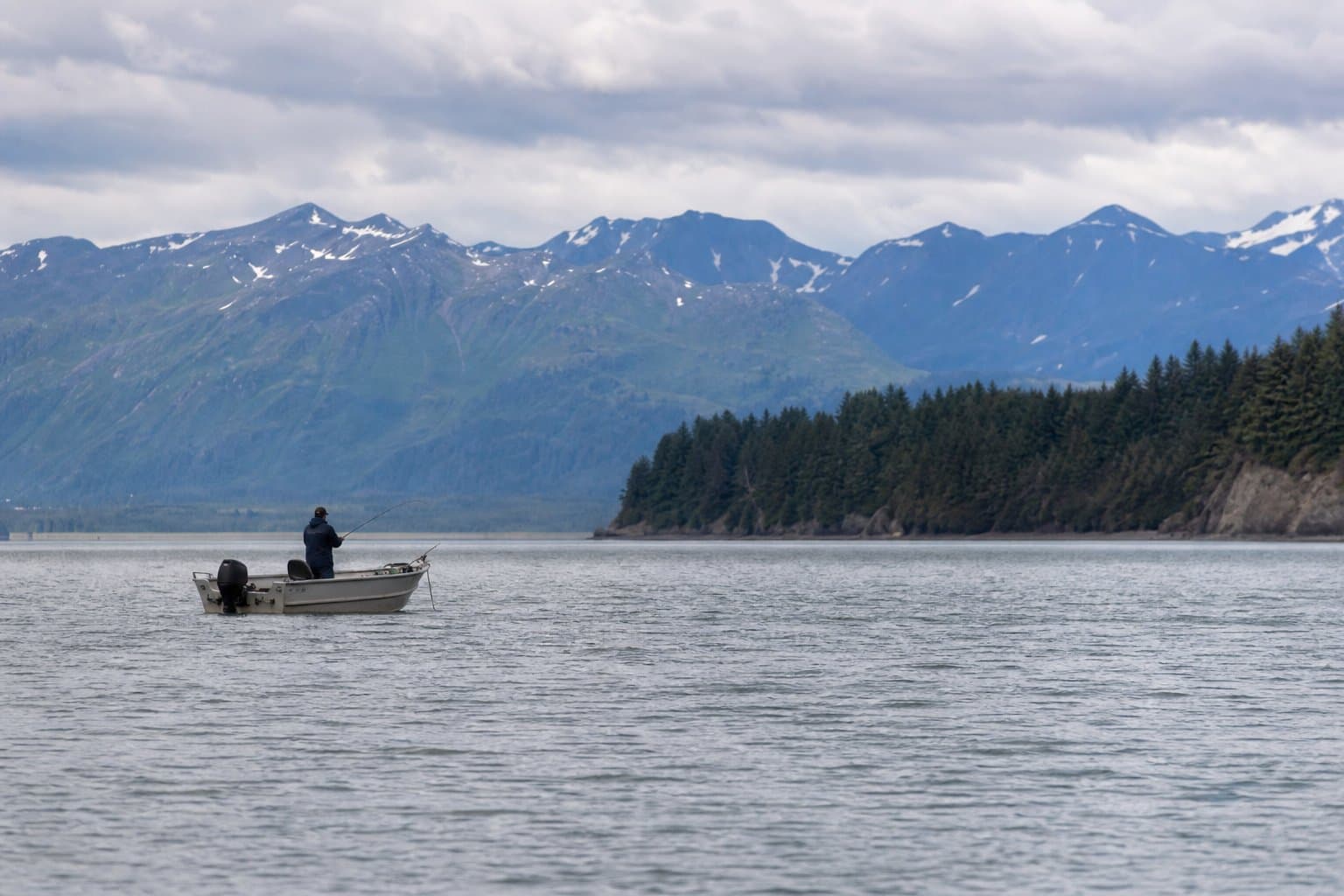 Cover image for article: King salmon fishing reopens north of Bluff Point, at one fish per day