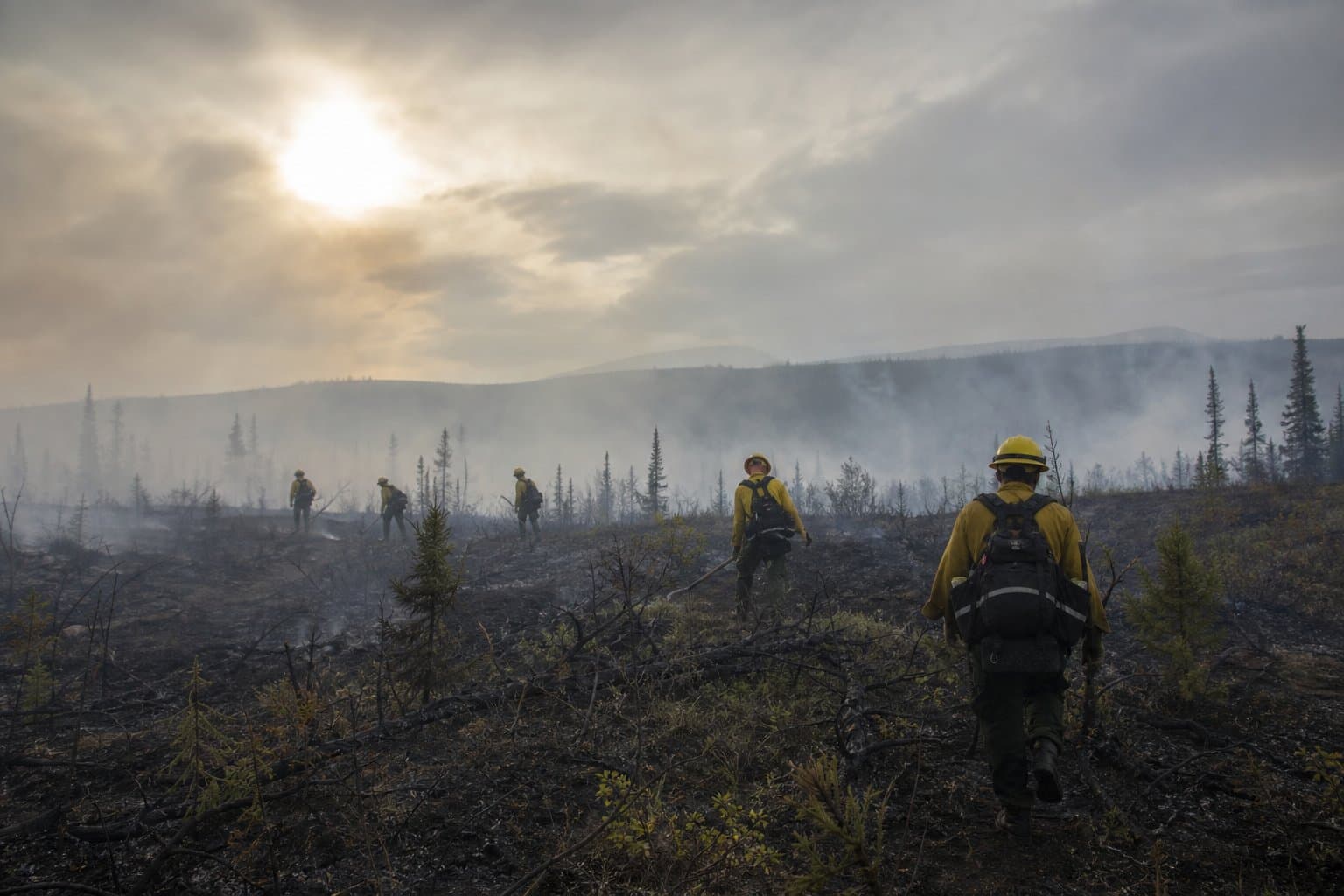 Cover image for article: Jade Fire near Ambler reaches 70% containment