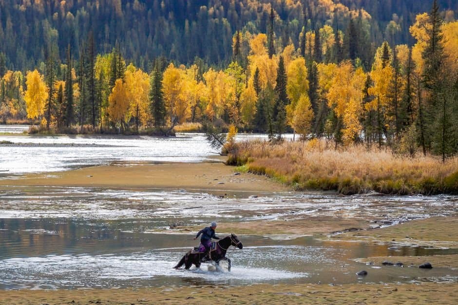Cover image for article: Fairbanks woman, 68, fell from horse into Wood River and died; cause under investigation