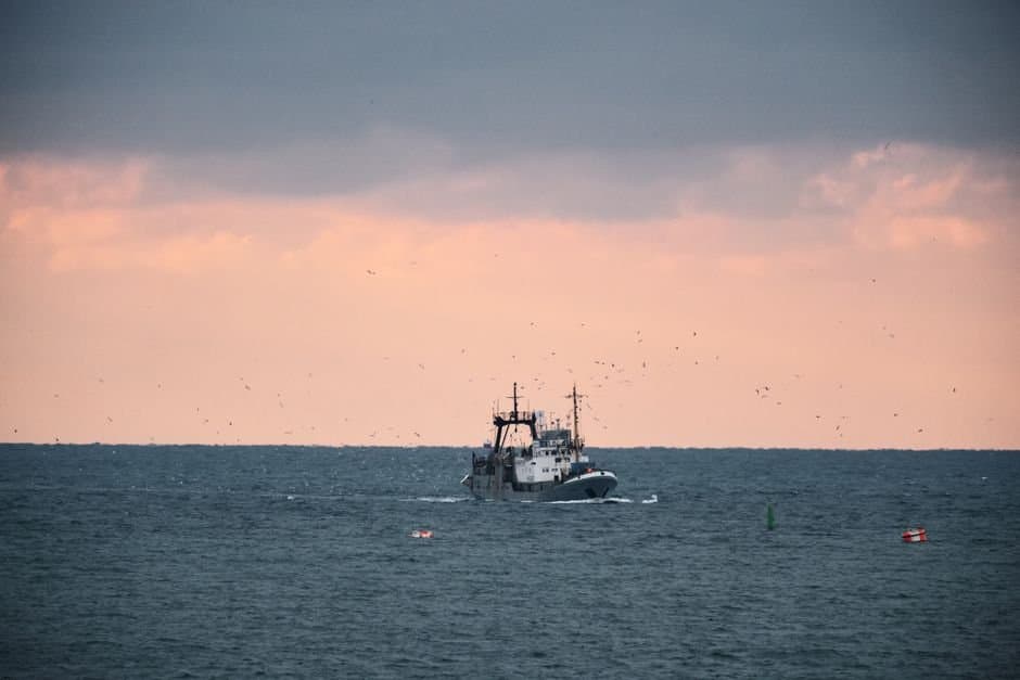 Cover image for article: Bristol Bay fishery opens under old rules as new regs stall in review