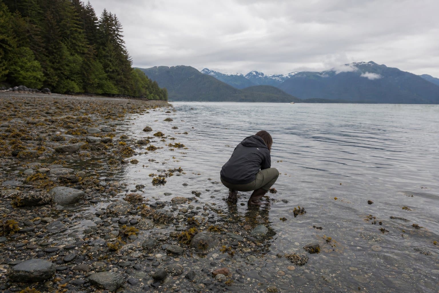 Cover image for article: No Juneau beach is tested for the toxin in clams