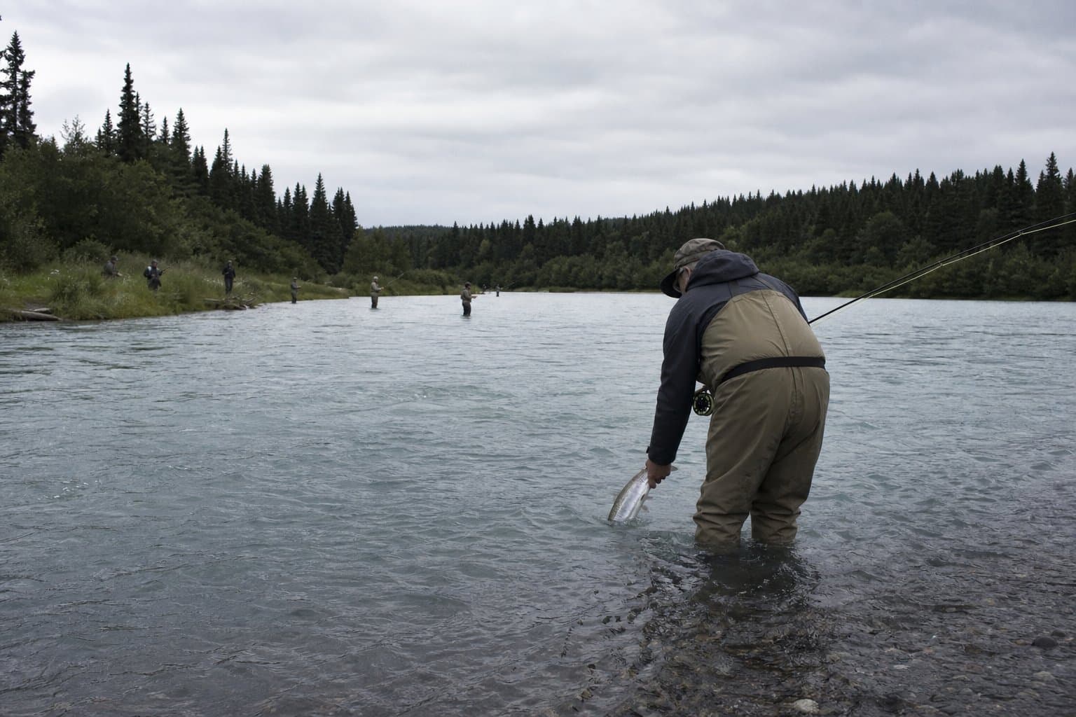 Cover image for article: Troopers cite 19 anglers on the Kenai and Kasilof for failing to release snagged fish