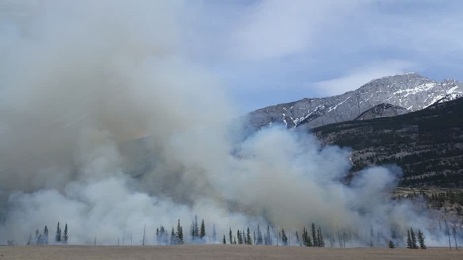 Cover image for article: Alaska extends fire season to Sept. 14 in Delta, Tok and Copper River areas