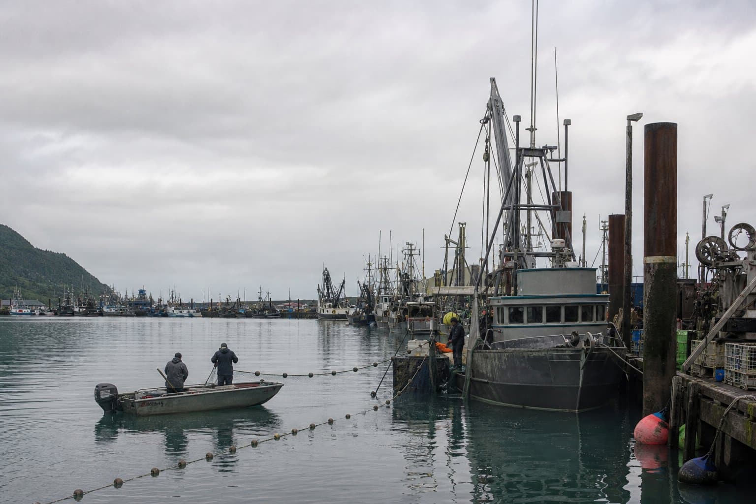 Cover image for article: Deshka king run collapse forces Cook Inlet closures amid allocation fight