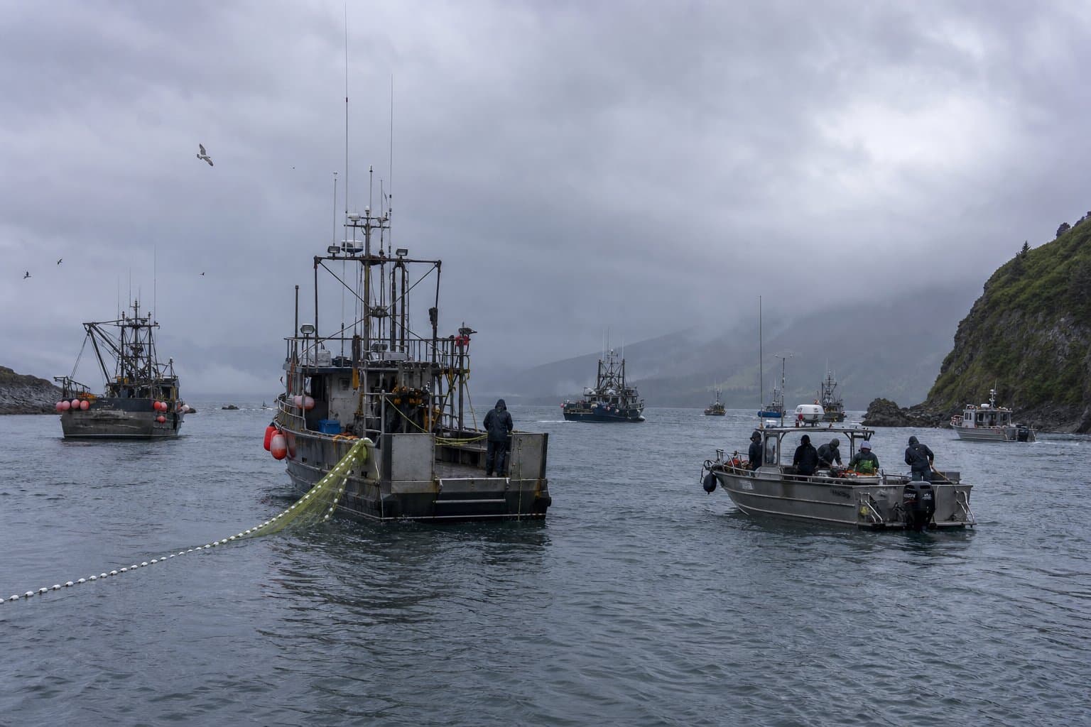 Cover image for article: Strong escapement at one weir is driving long Alaska Peninsula openings
