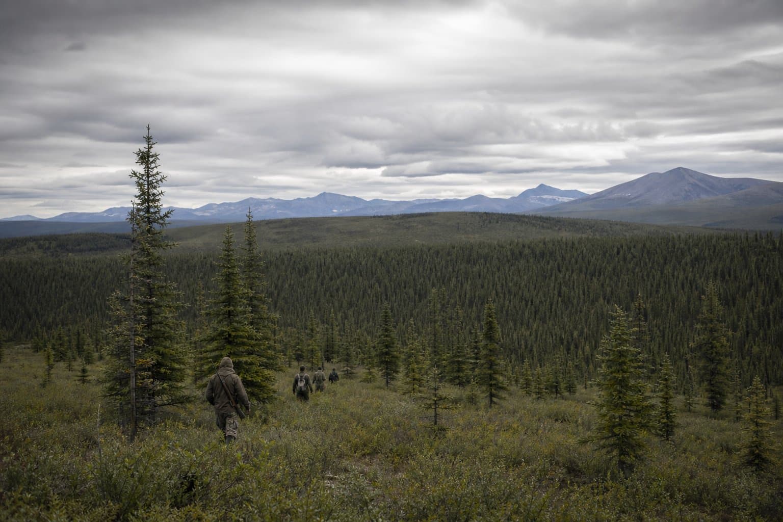 Cover image for article: Alaska plans to burn the Alphabet Hills to grow more moose forage