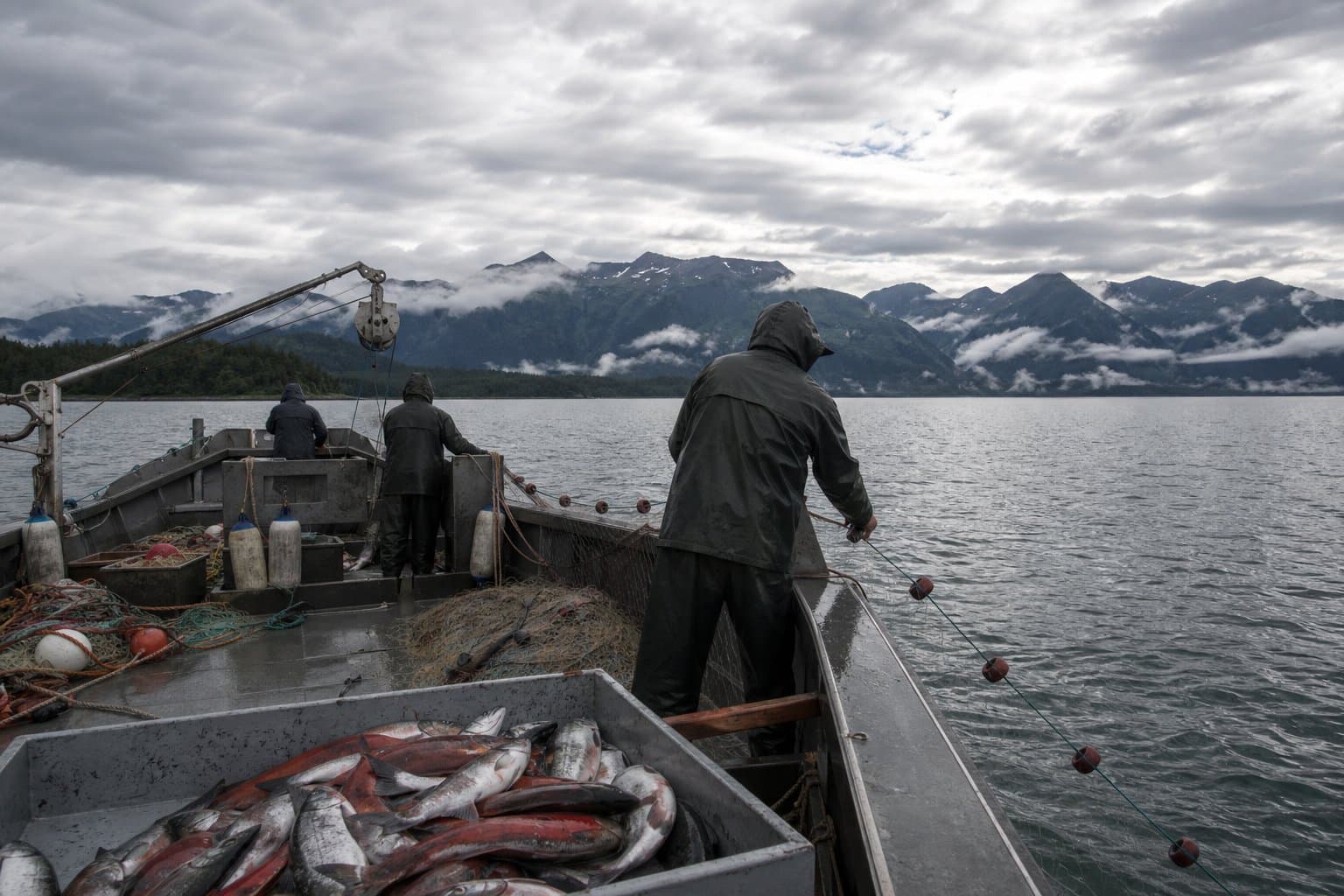 Cover image for article: Yakutat sockeye openings hold as Situk-Ahrnklin kings stay off-limits