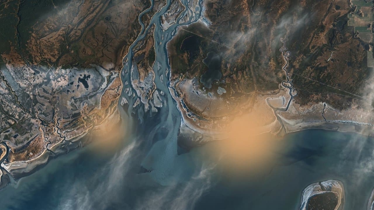 Cover image for article: State approves longer seismic lines near Beluga after no comments