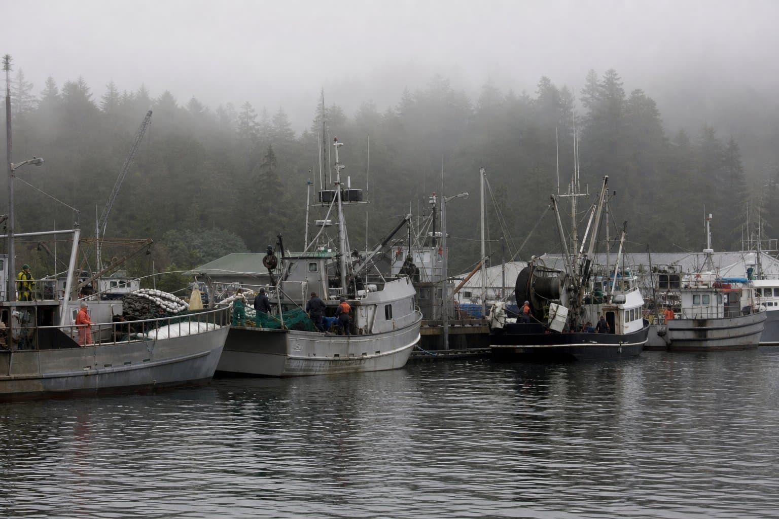 Cover image for article: Alaska Peninsula salmon fishery opens for 61 hours Wednesday morning