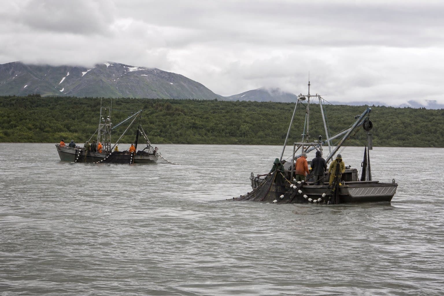 Cover image for article: Bristol Bay's sockeye season opens as Nushagak kings raise concern